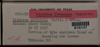 Image Associated With the Occurence